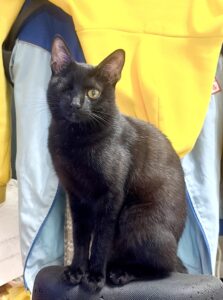 圖片風格轉換 原圖 -Aiworks