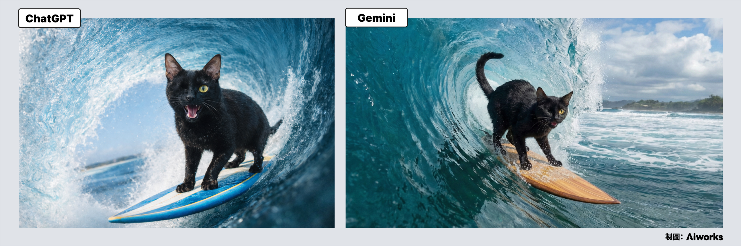 貓咪茂茂 在浪管中衝浪 生成結果 -Aiworks