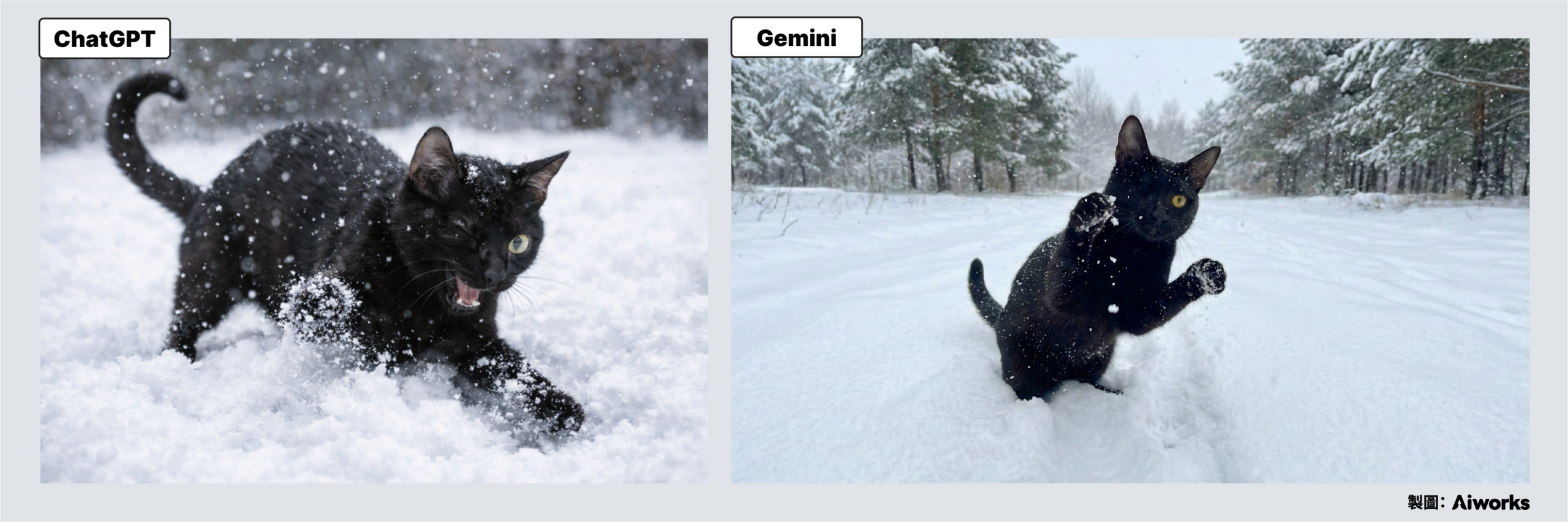 貓咪茂茂 在雪地中玩耍 生成結果 -Aiworks
